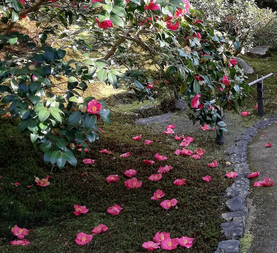 木へん に 春 日本住宅サービス株式会社