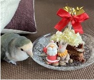 くくクリスマス